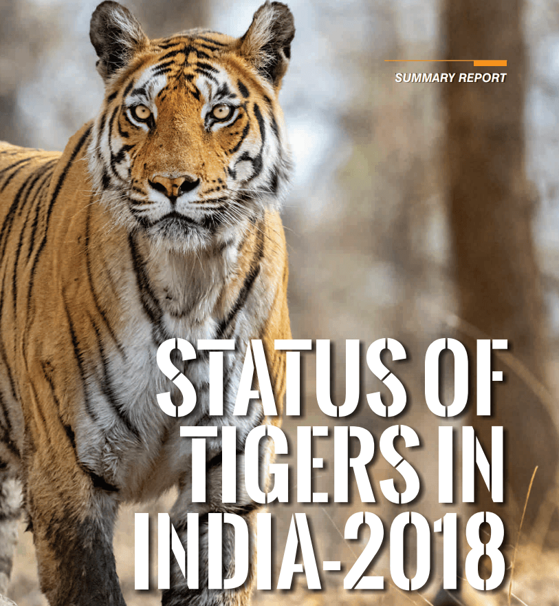 5 things we learn from the 2018 Tiger Census in India