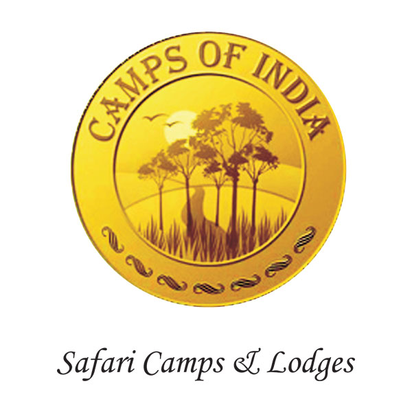 Gir Lion Safari Camp