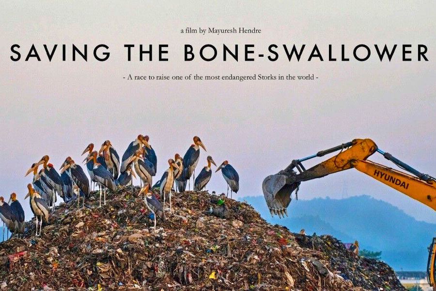 Saving the Bone-Swallower